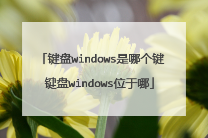 键盘windows是哪个键 键盘windows位于哪