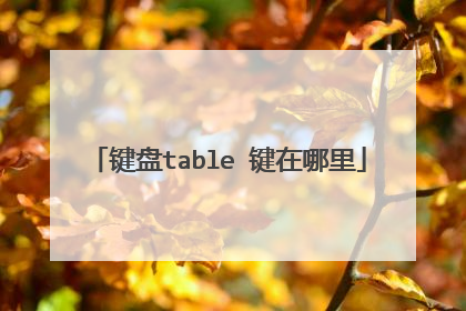键盘table 键在哪里
