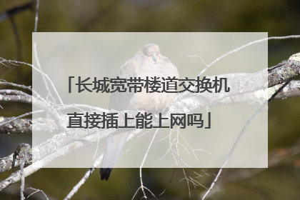长城宽带楼道交换机直接插上能上网吗