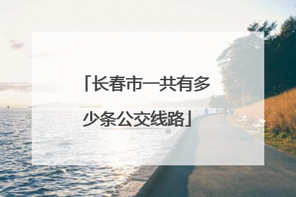 长春市一共有多少条公交线路