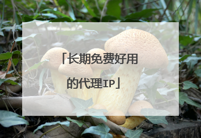 长期免费好用的代理IP