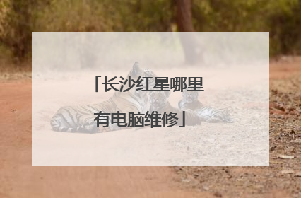 长沙红星哪里有电脑维修