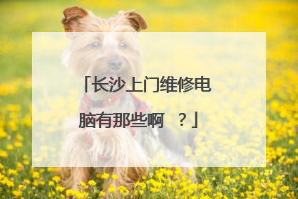 长沙上门维修电脑有那些啊 ?