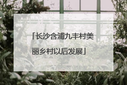 长沙含浦九丰村美丽乡村以后发展