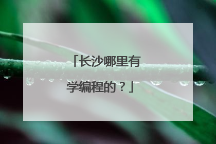 长沙哪里有学编程的？