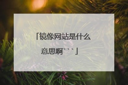 镜像网站是什么意思啊```