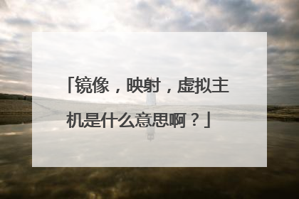 镜像，映射，虚拟主机是什么意思啊？