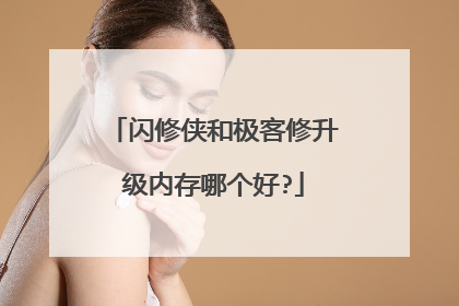 闪修侠和极客修升级内存哪个好?