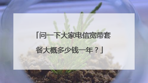 问一下大家电信宽带套餐大概多少钱一年?