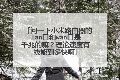 问一下小米路由器的lan口和wan口是千兆的嘛？理论速度有线能到多快啊