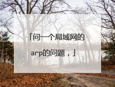 问一个局域网的arp的问题,