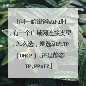 问一哈设置WiFi时,有一个广域网连接类型,怎么选,是选动态IP(DHCP),还是静态IP,PPoE?