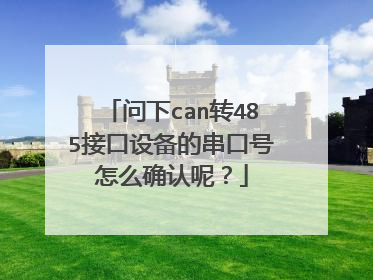 问下can转485接口设备的串口号怎么确认呢？