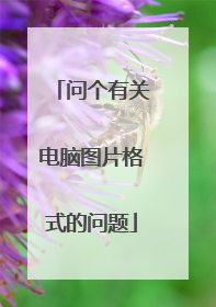 问个有关电脑图片格式的问题