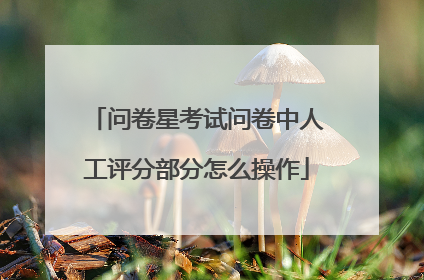 问卷星考试问卷中人工评分部分怎么操作