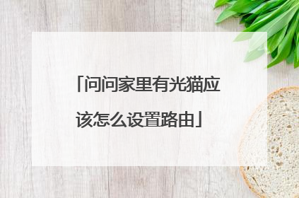 问问家里有光猫应该怎么设置路由