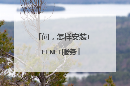 问，怎样安装TELNET服务