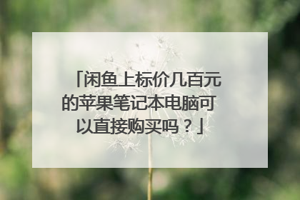 闲鱼上标价几百元的苹果笔记本电脑可以直接购买吗?