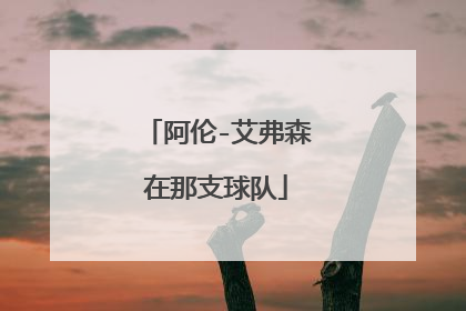 阿伦-艾弗森在那支球队