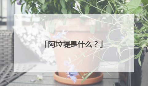 阿垃堤是什么？
