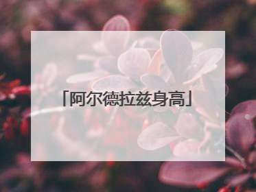 阿尔德拉兹身高