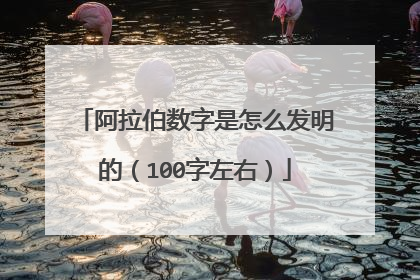 阿拉伯数字是怎么发明的（100字左右）