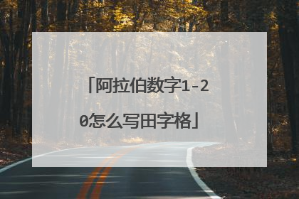 阿拉伯数字1-20怎么写田字格