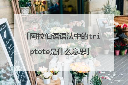 阿拉伯语语法中的triptote是什么意思