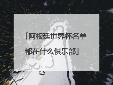 阿根廷世界杯名单都在什么俱乐部