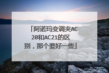 阿诺玛变调夹AC20和AC21的区别,那个要好一些