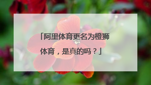 阿里体育更名为橙狮体育，是真的吗？