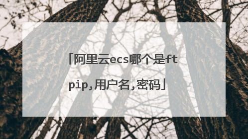 阿里云ecs哪个是ftpip,用户名,密码