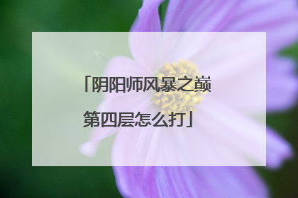 阴阳师风暴之巅第四层怎么打