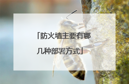 防火墙主要有哪几种部署方式