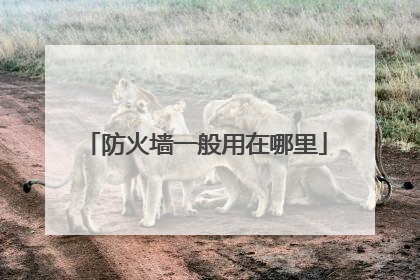 防火墙一般用在哪里