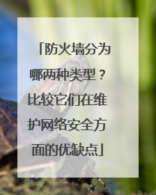 防火墙分为哪两种类型?比较它们在维护网络安全方面的优缺点
