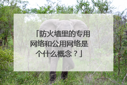 防火墙里的专用网络和公用网络是个什么概念？