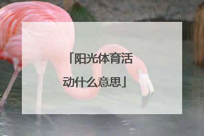 阳光体育活动什么意思