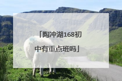陶冲湖168初中有重点班吗