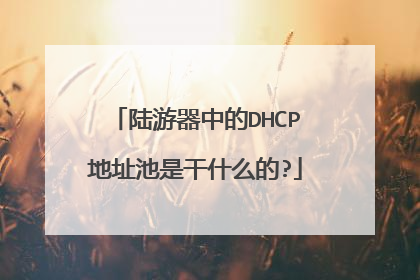 陆游器中的DHCP地址池是干什么的?