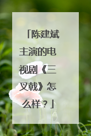 陈建斌主演的电视剧《三叉戟》怎么样？