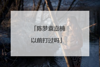 陈梦袁嘉楠以前打过吗