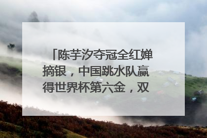 陈芋汐夺冠全红婵摘银,中国跳水队赢得世界杯第六金,双方的差距有多大?