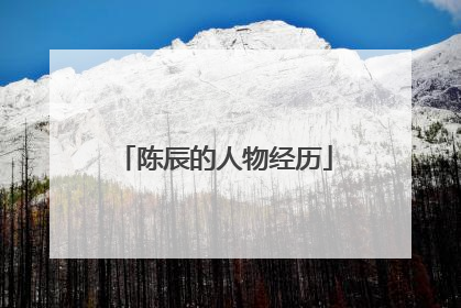 陈辰的人物经历