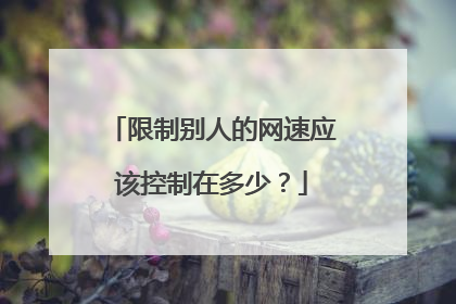 限制别人的网速应该控制在多少？