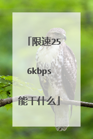 限速256kbps能干什么
