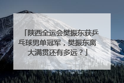 陕西全运会樊振东获乒乓球男单冠军，樊振东离大满贯还有多远？