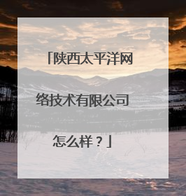 陕西太平洋网络技术有限公司怎么样？