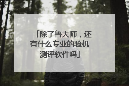 除了鲁大师,还有什么专业的验机测评软件吗