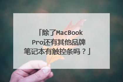 除了MacBook Pro还有其他品牌笔记本有触控条吗？